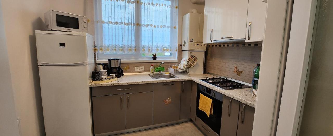 Butterfly Apartment Timisoara Exterior photo