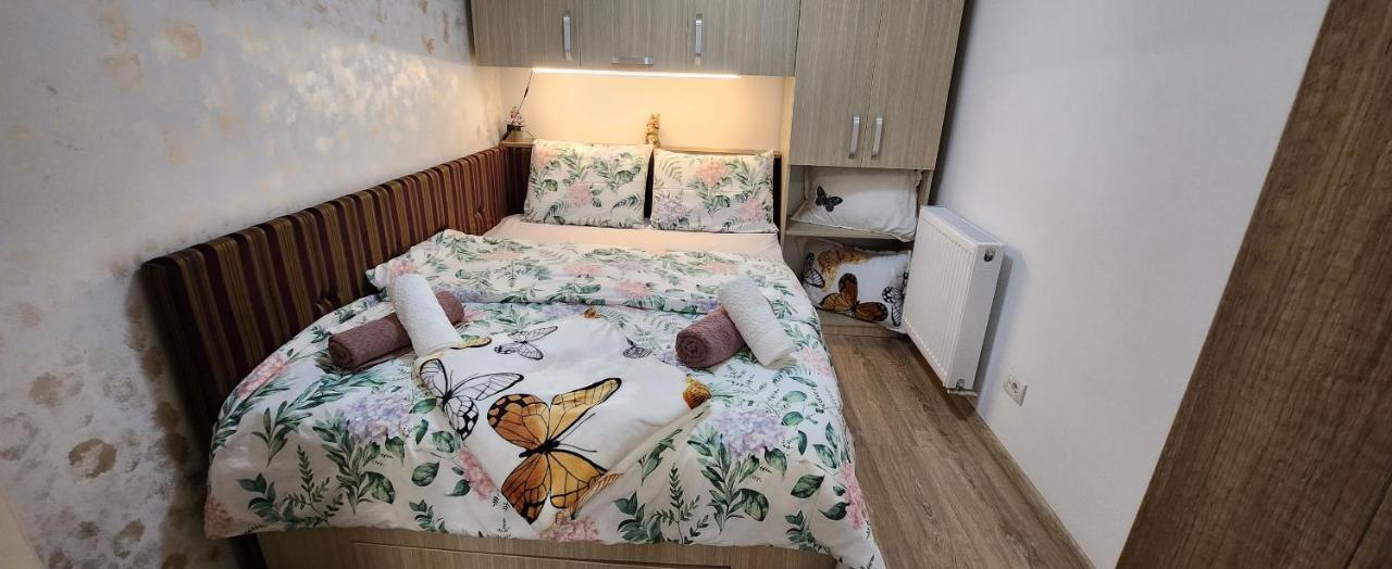 Butterfly Apartment Timisoara Exterior photo