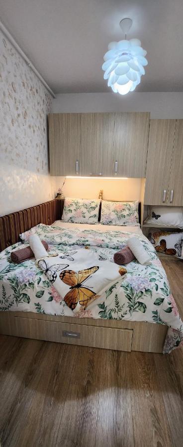 Butterfly Apartment Timisoara Exterior photo