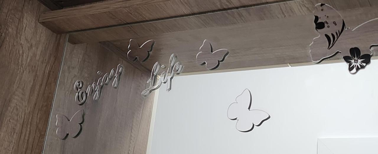 Butterfly Apartment Timisoara Exterior photo
